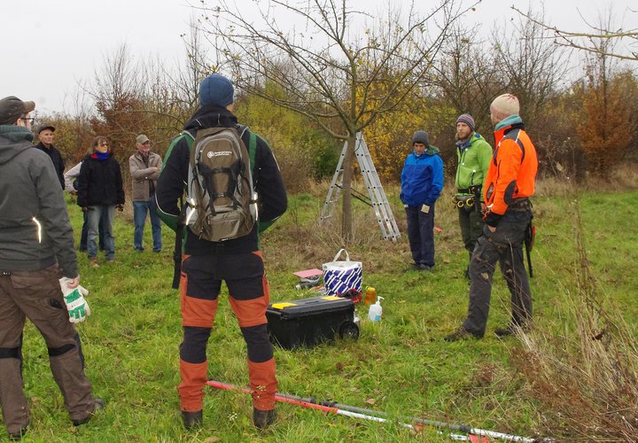 Die Magdeburger Fruchtschnitten freuten sich über zwei Dutzend interessierter Teilnehmer bei der Premiere ihres Obstbaumschnitt-Kurses im Hermsdorfer Naschgarten. 