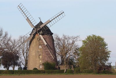 Eine Holländermühle zwischen zwei Bäumen im Herbst
