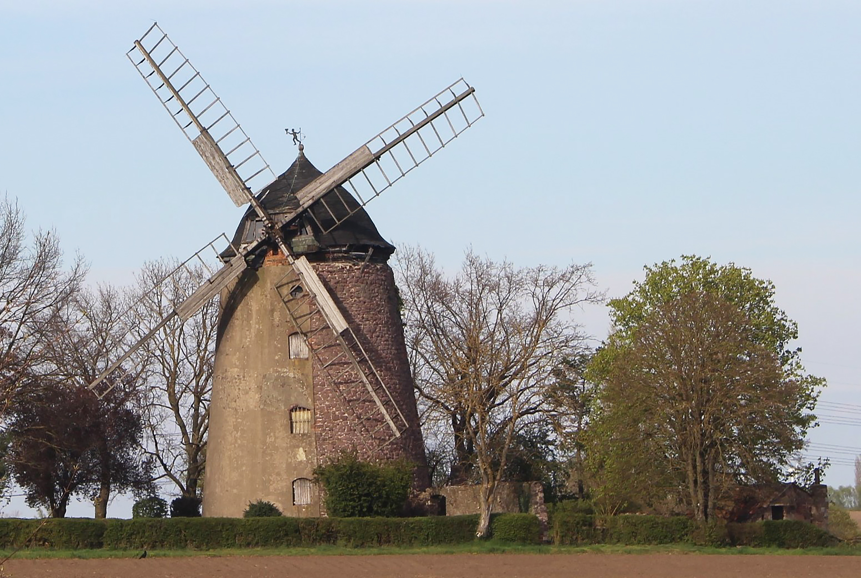 Eine Holländermühle zwischen zwei Bäumen im Herbst